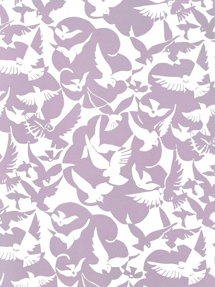 Peaceful Birds Flight