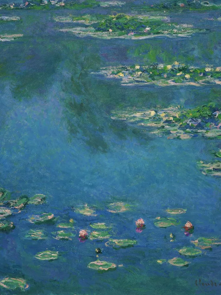 Water Lilies Reflection