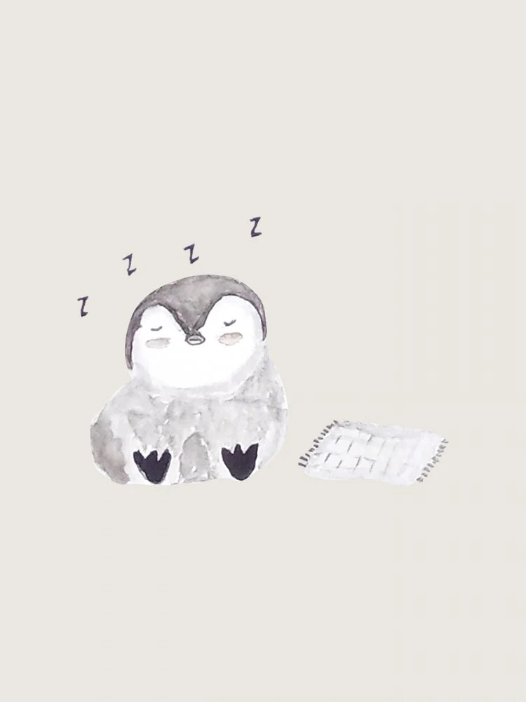 Little Penguin Dreams