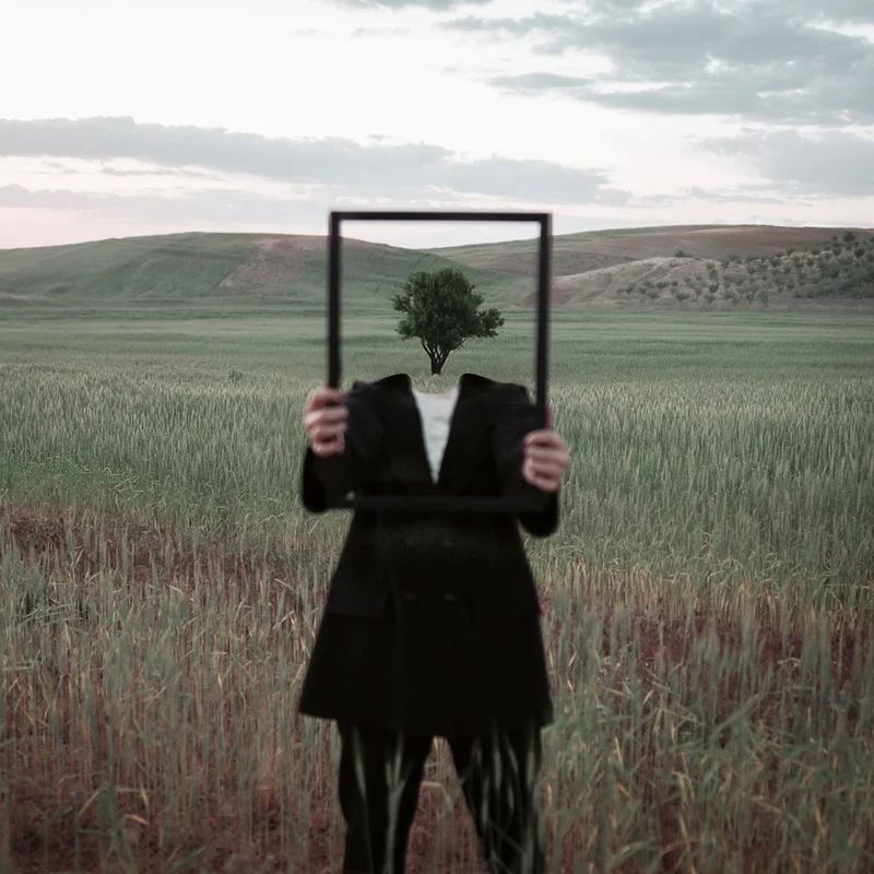 Surreal Framed Tree