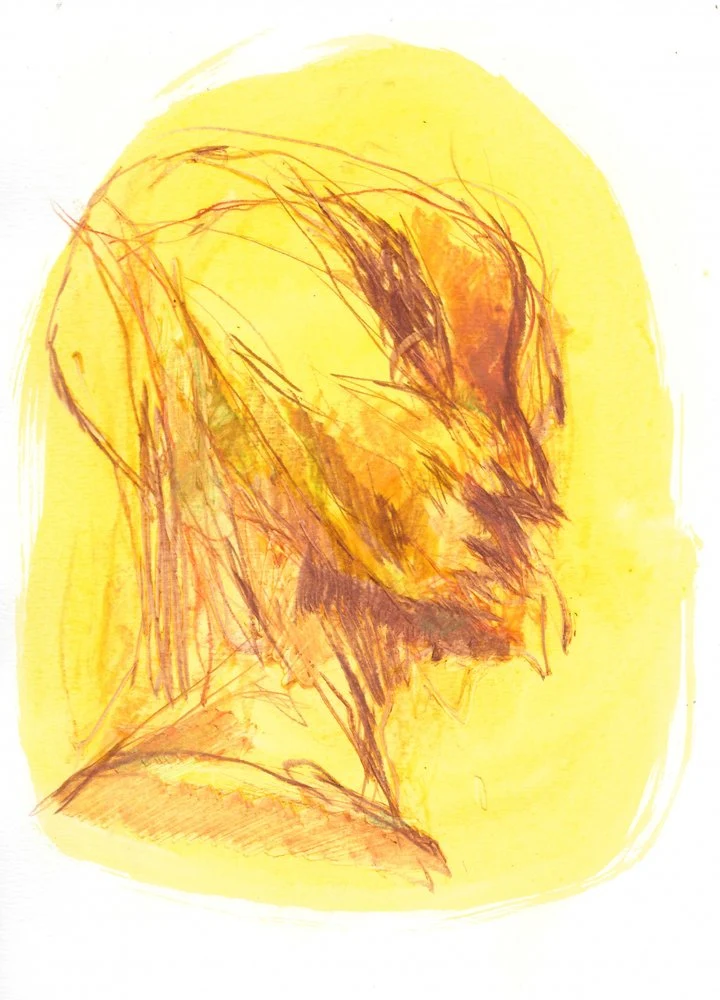 The Portrait 1