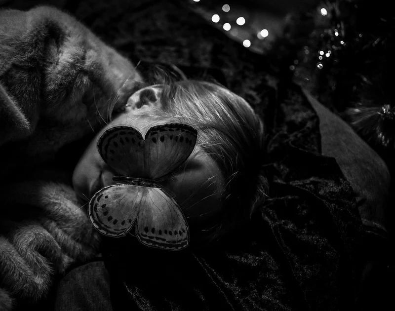 Butterfly Dream