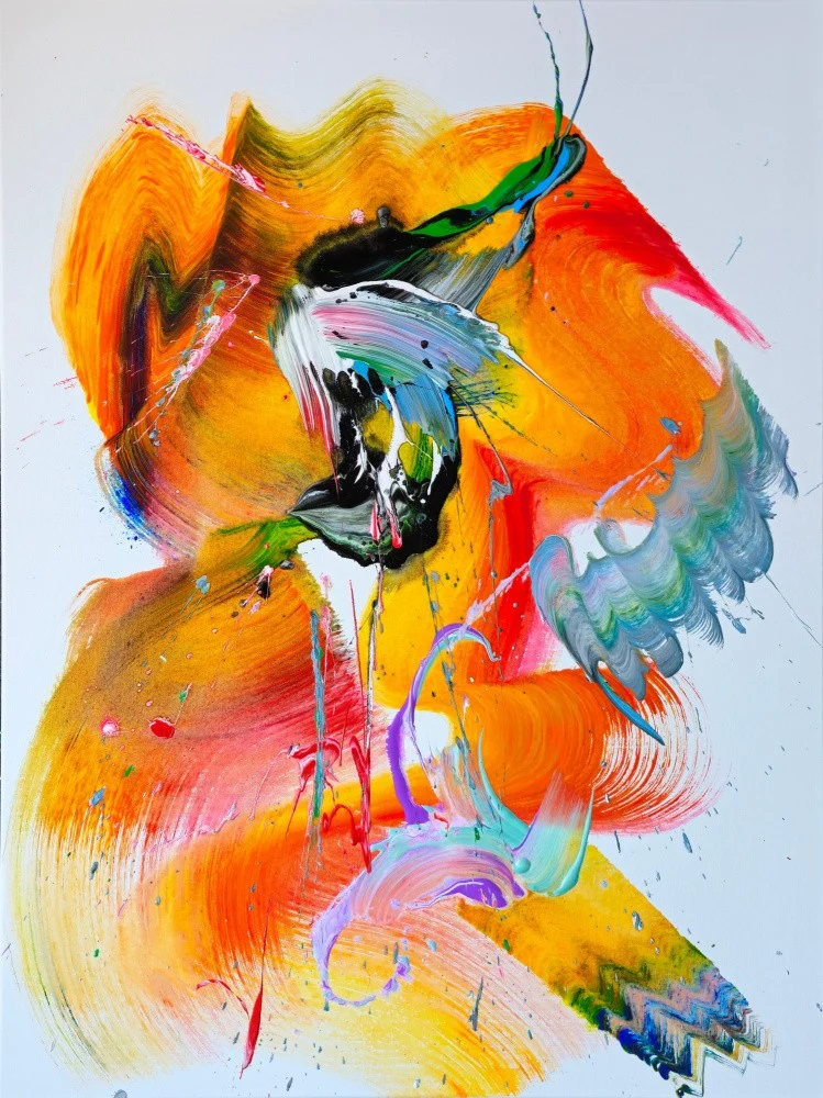 Vibrant Chaos Dance