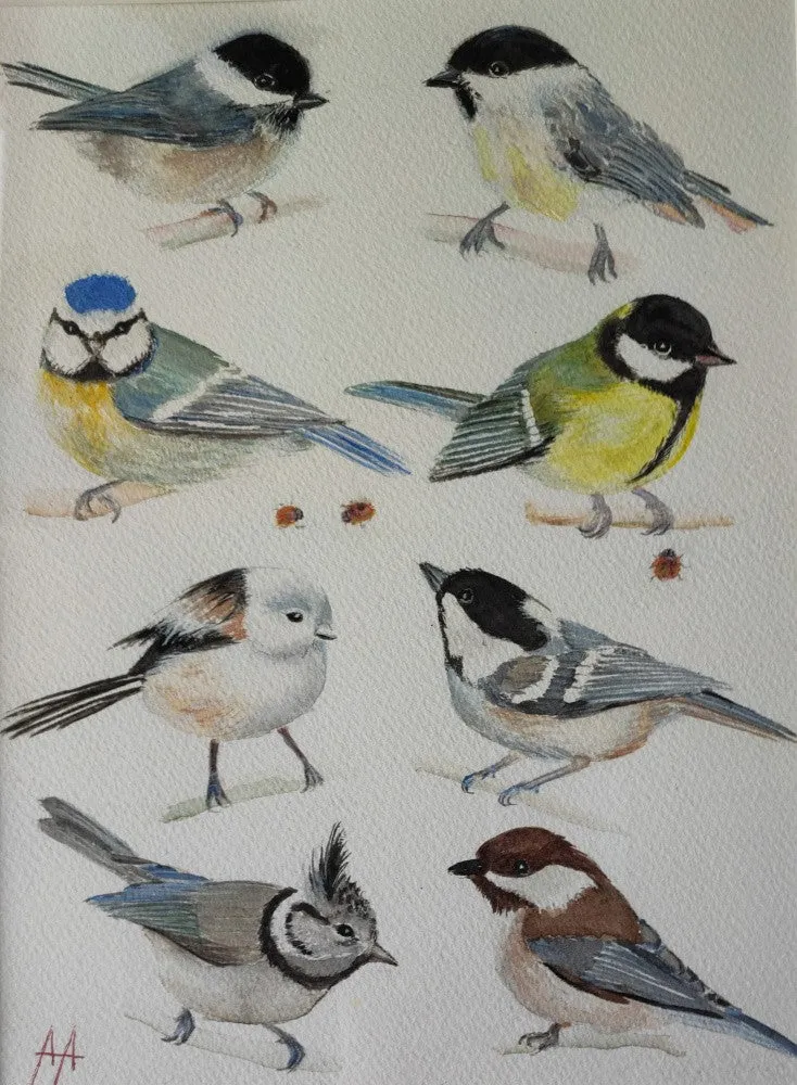 Tit family
