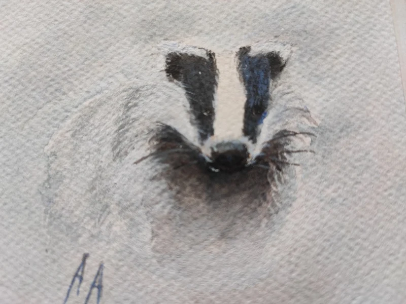 Badger