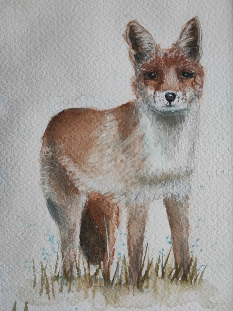 Fox