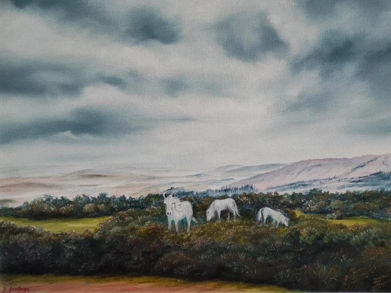Dartmoor