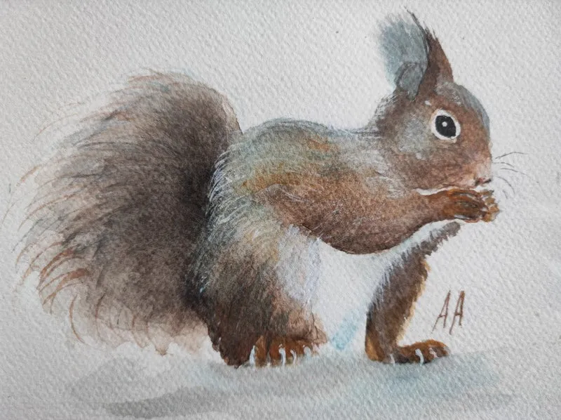 Squirrel