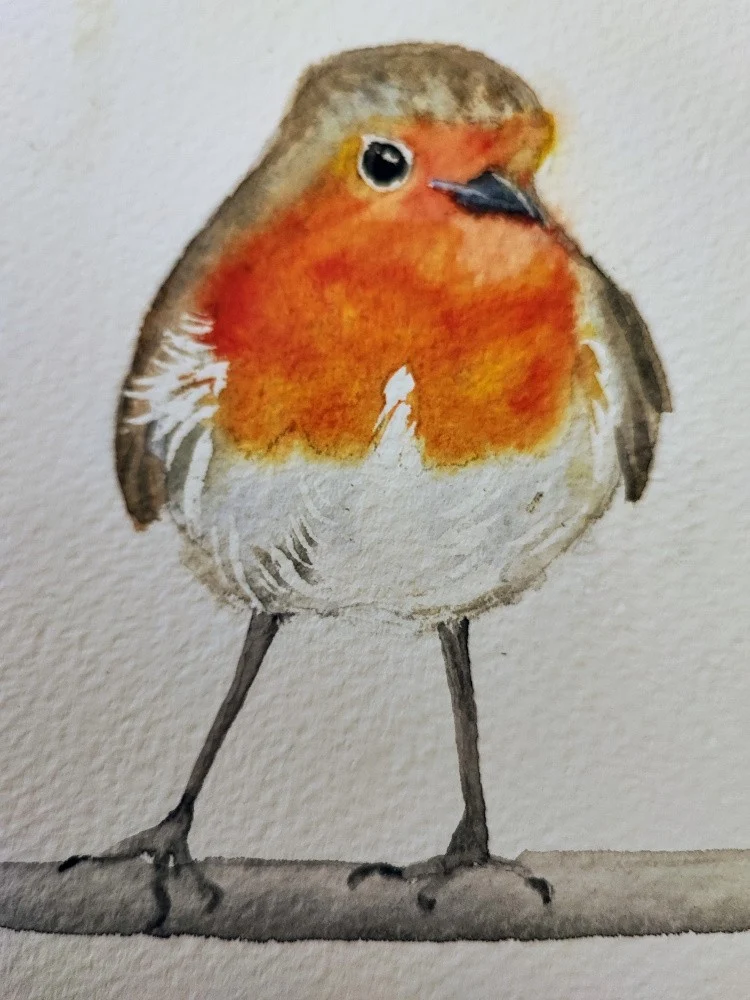 Robin