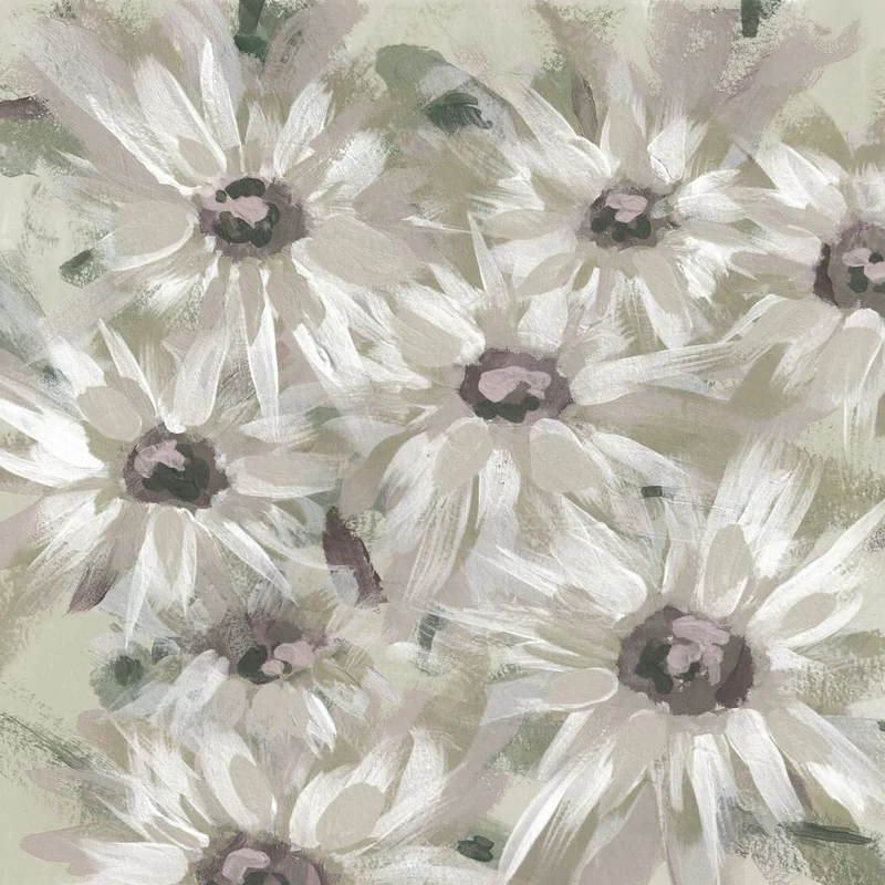 Soft Daisy Blooms