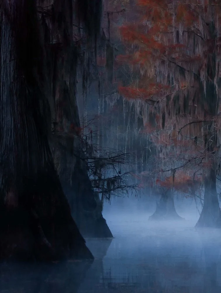 Autumn Foggy Bayou