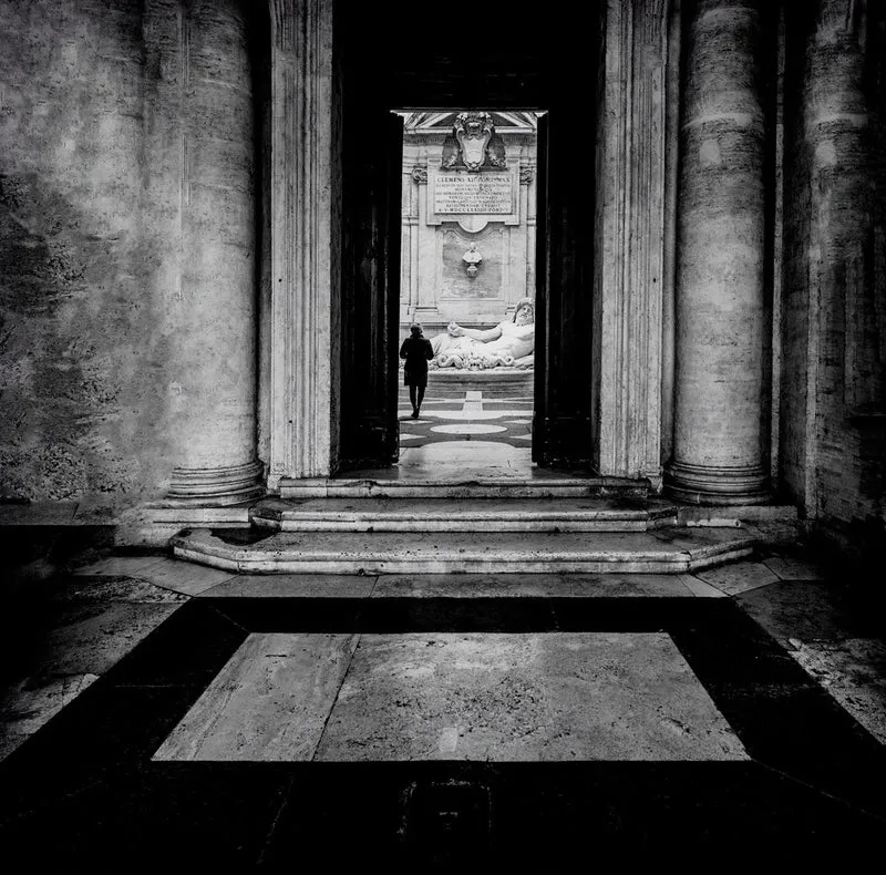Shadowy Grand Entrance
