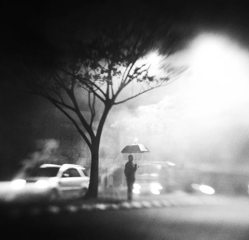 Rainy Night Solitude