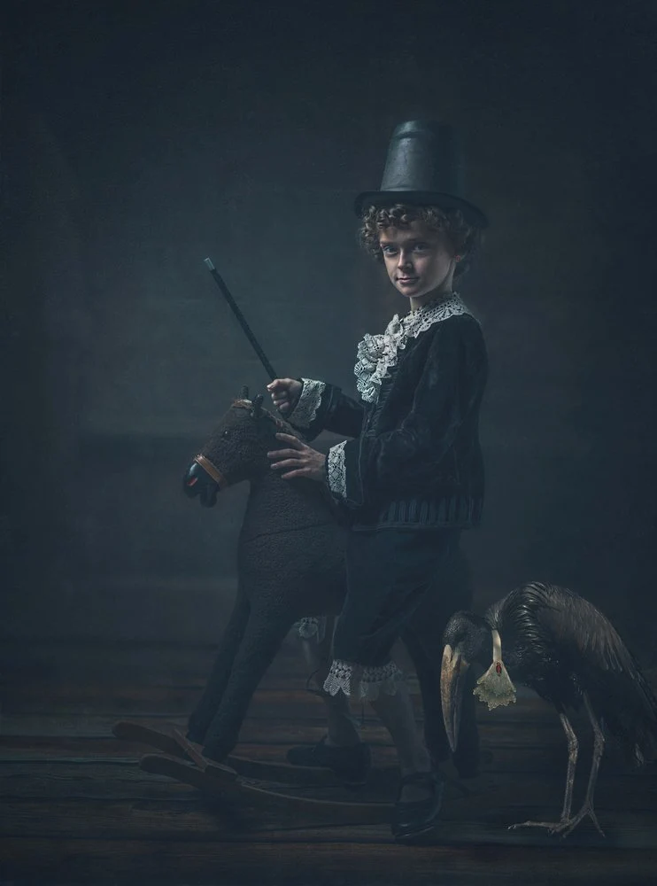 Elegant Boy and Bird