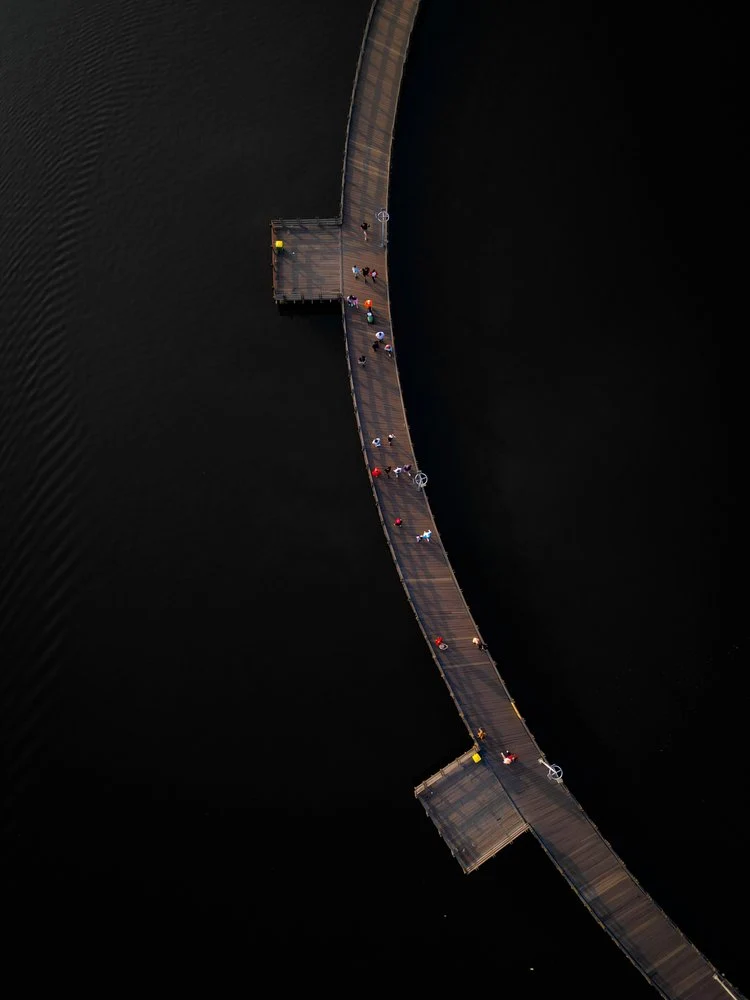 Dark Water Boardwalk