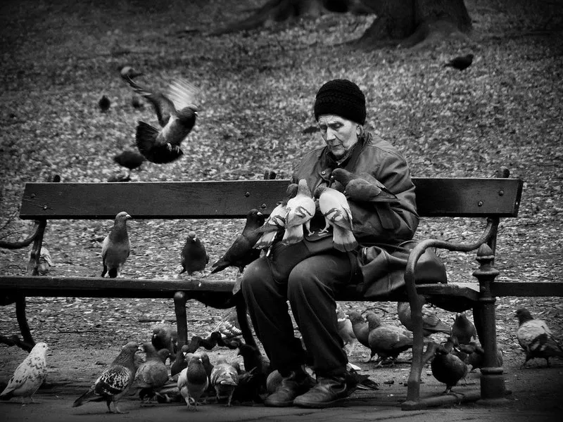 fly away from loneliness