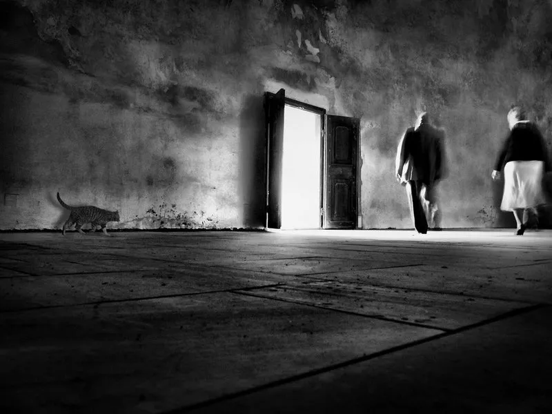 inquisitiveness