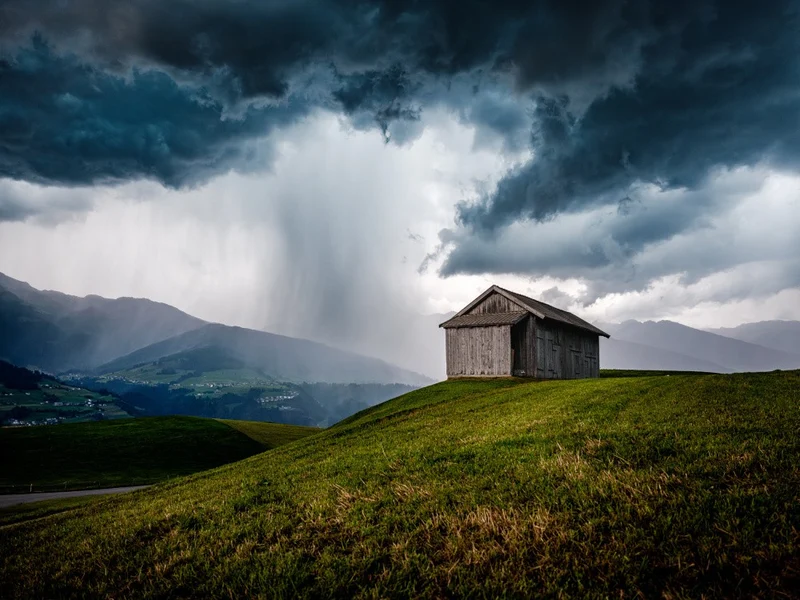 Shelter
