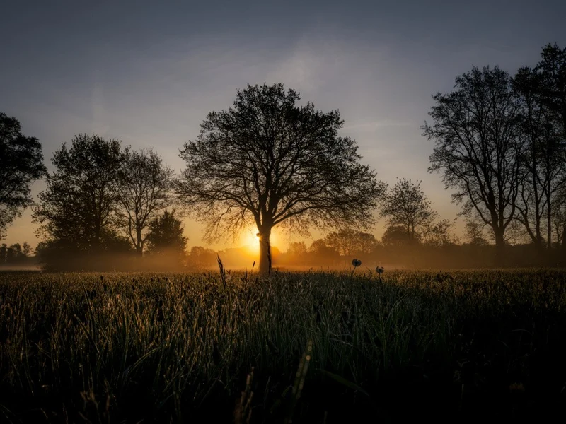 Dawn’s Embrace