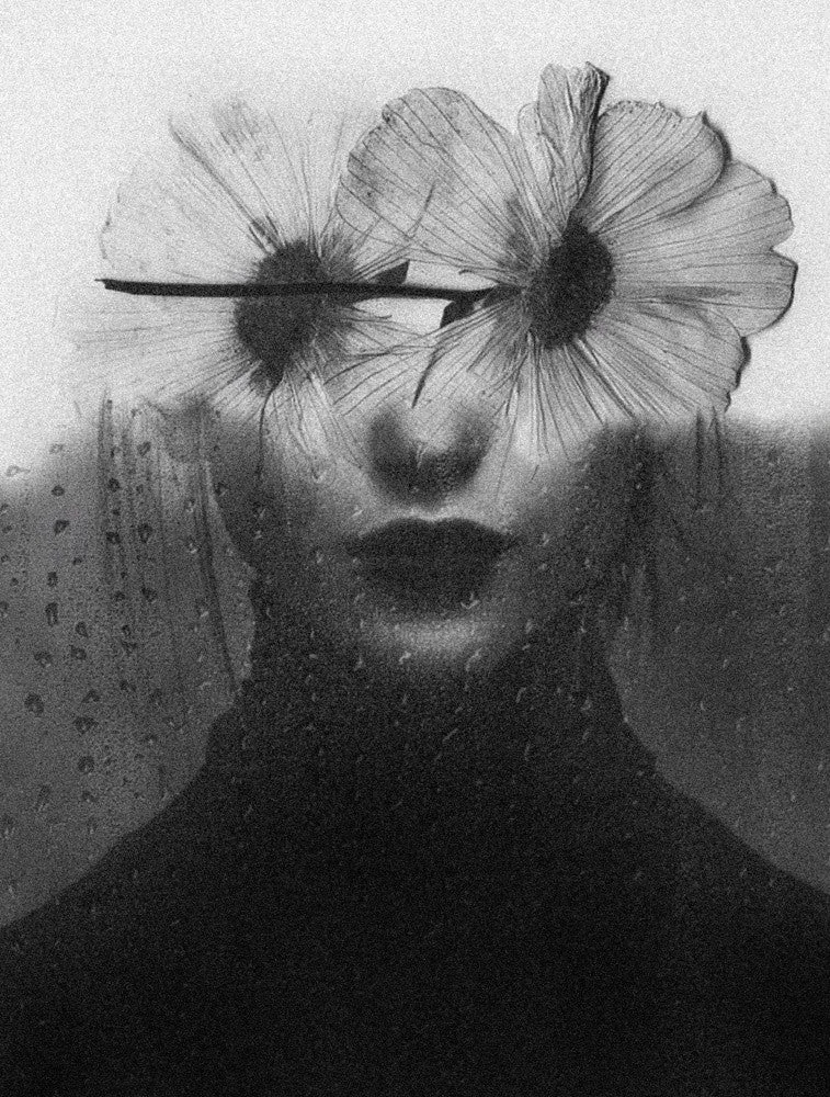 Bloom in thought