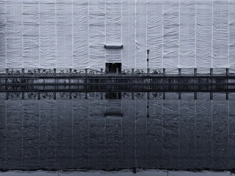 The Fence