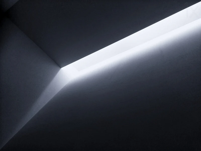 Let the Light In