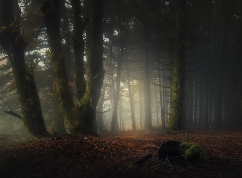 Autumn