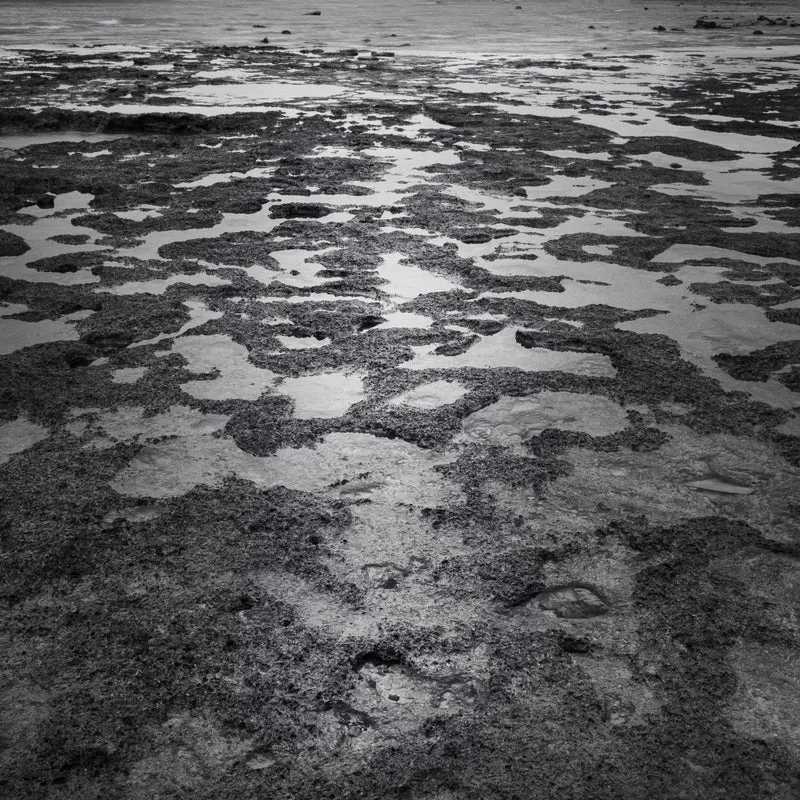 Marine Microcosm - Ray Truter Photography Fine Art Originals
