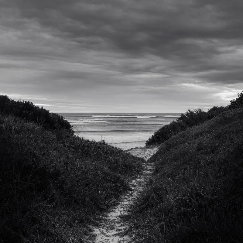 Dune Arabesques - Ray Truter Photography Fine Art Originals