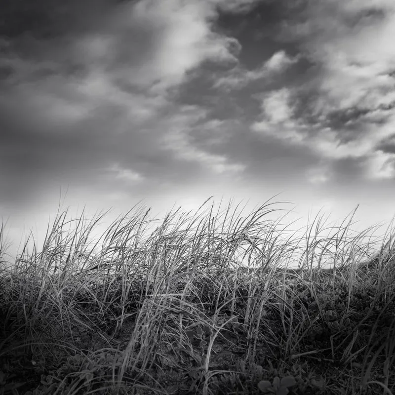 Soothing Meadow - Ray Truter Photography Fine Art Originals