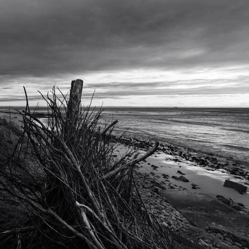Elemental Palisade - Ray Truter Photography Fine Art Originals