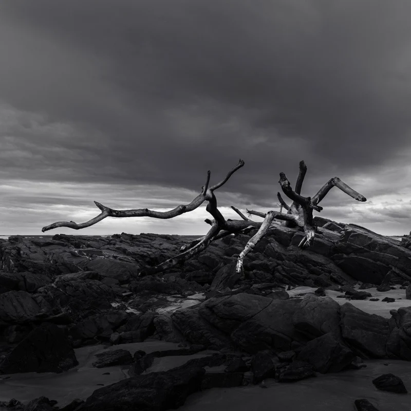 Flotsam Remnants - Ray Truter Photography Fine Art Originals