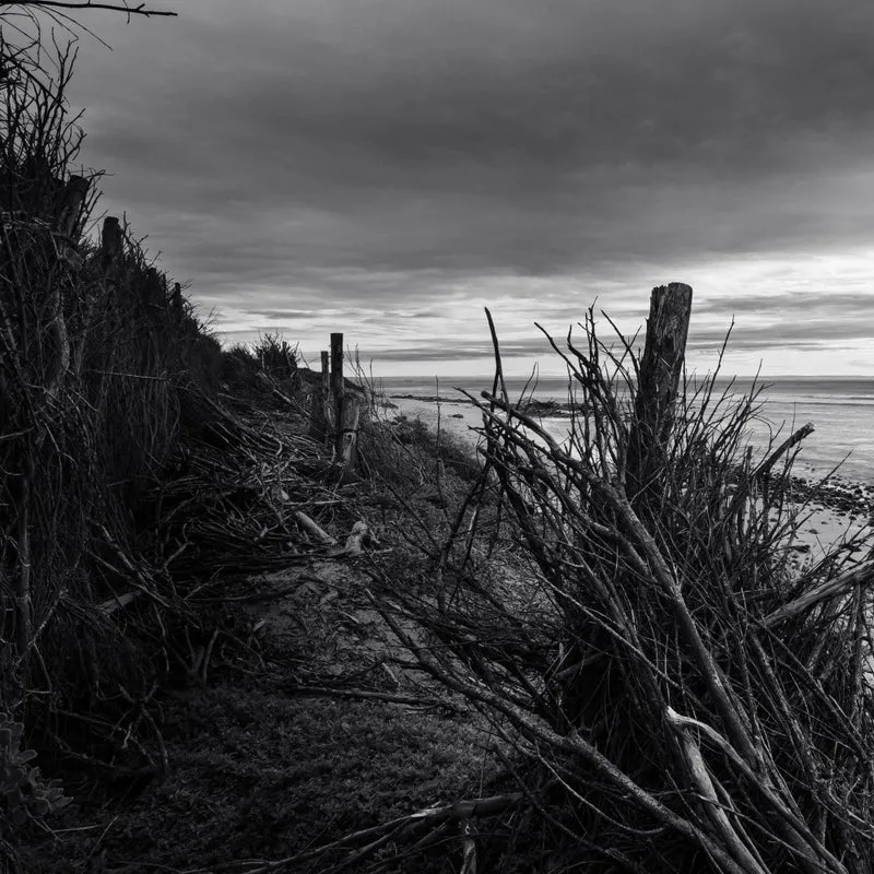 Perimeter Pathways - Ray Truter Photography Fine Art Originals