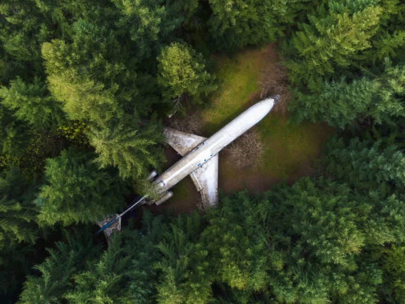 Plane in Forest