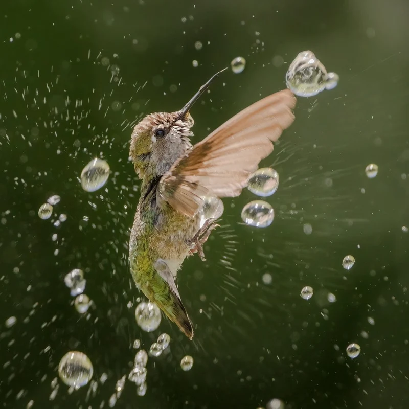 Breaking water drops