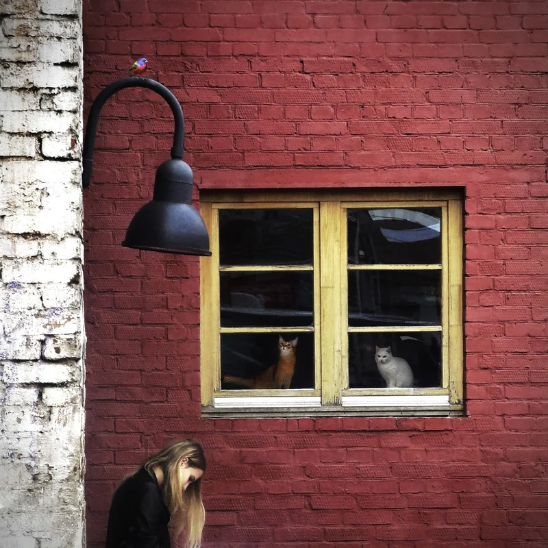 You are being watched!