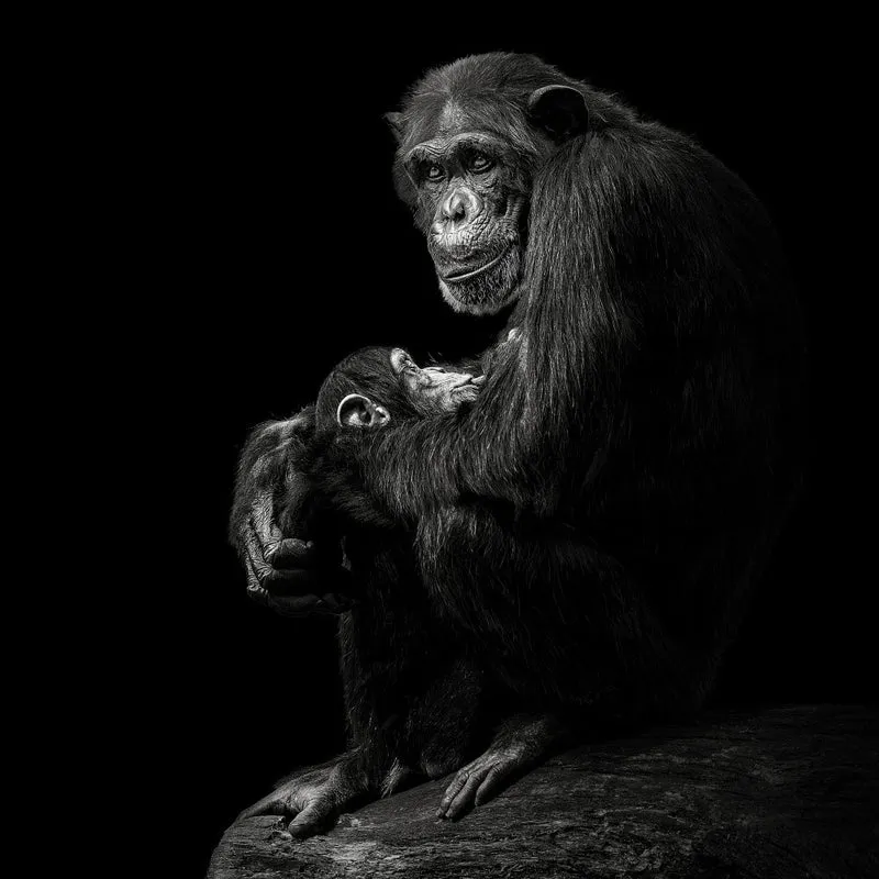 Motherly Love #2