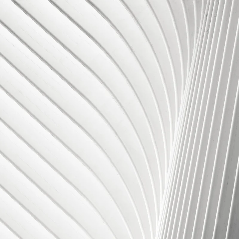 Oculus #8