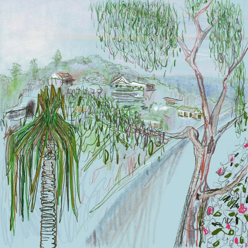 Window View