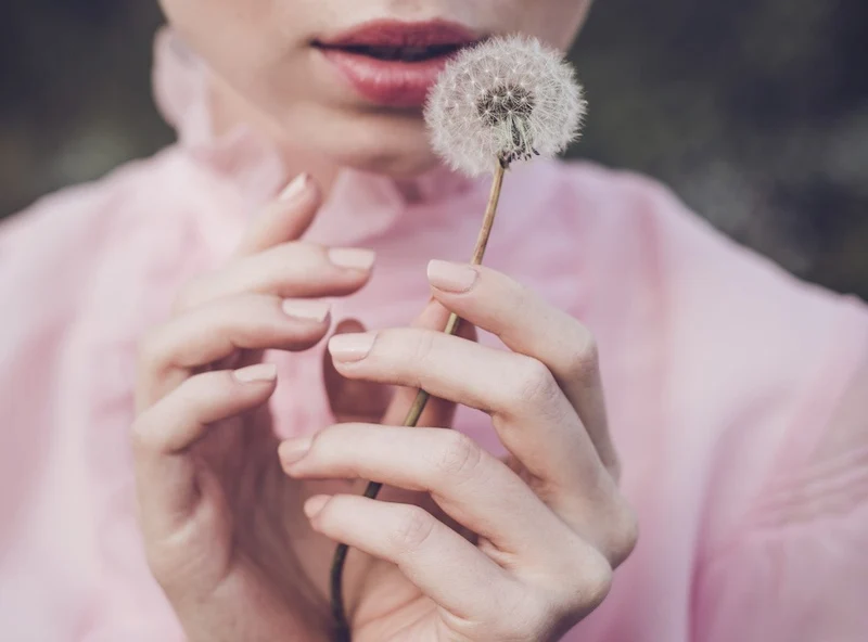 Dandelion