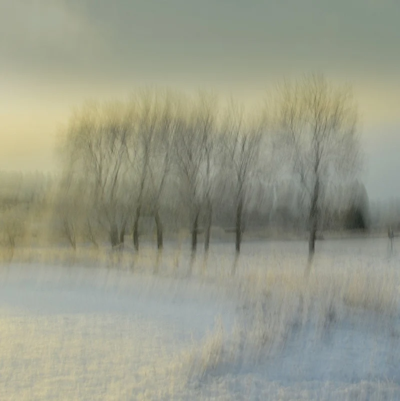 Snowy morning