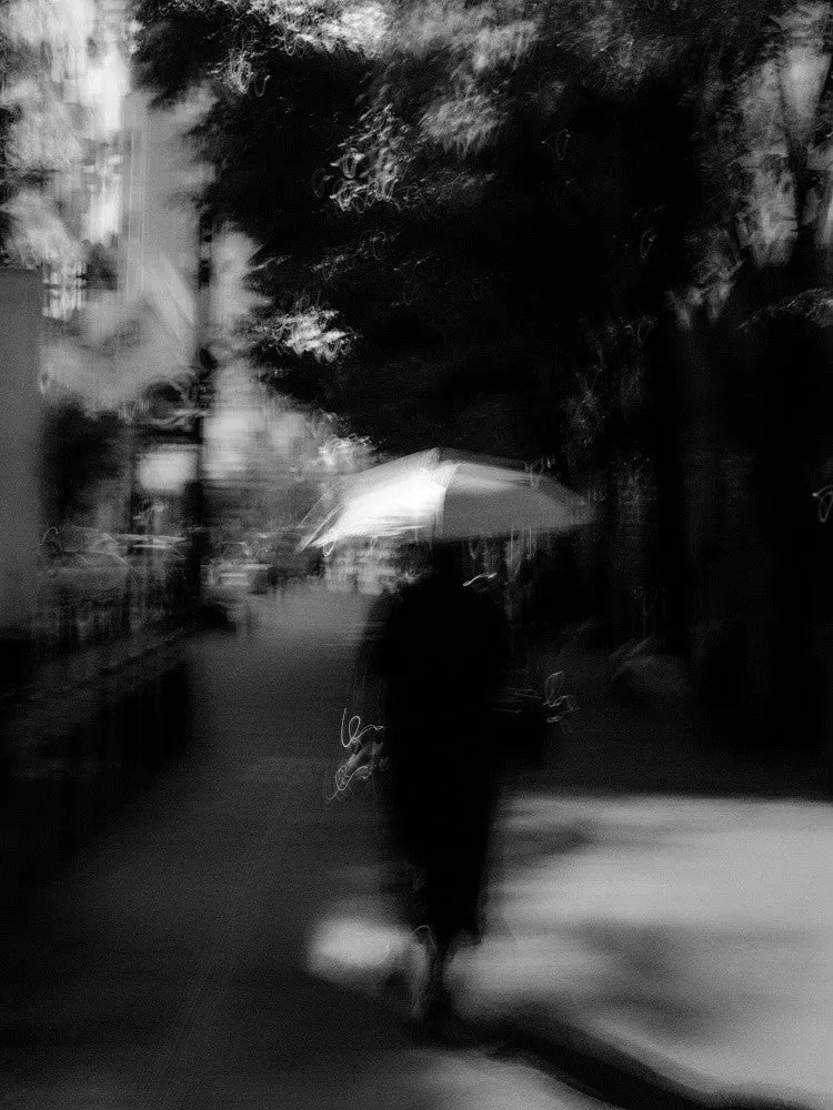The Shape of Impermanence #2