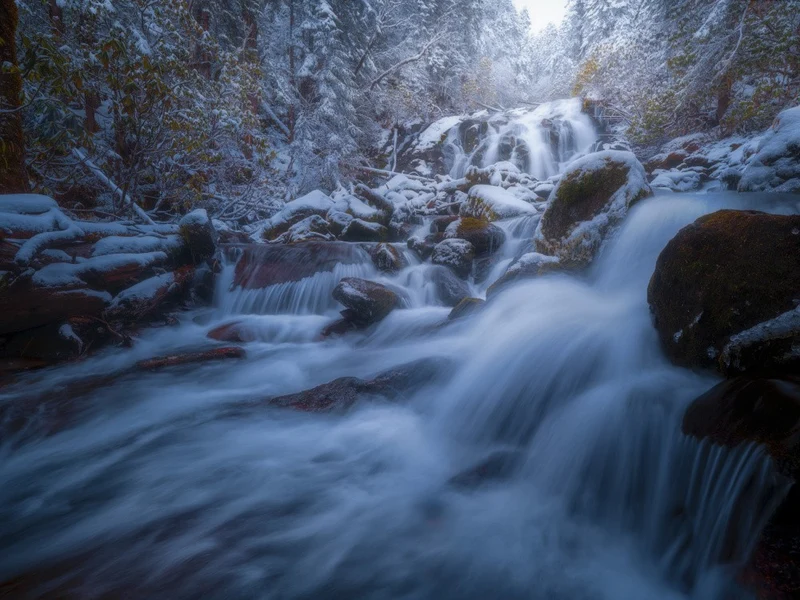 Winter's Whisper