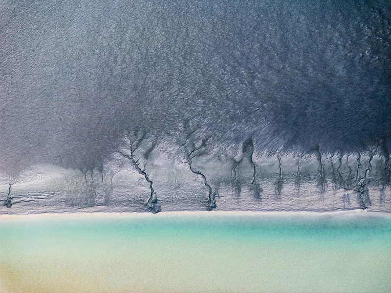 Trees