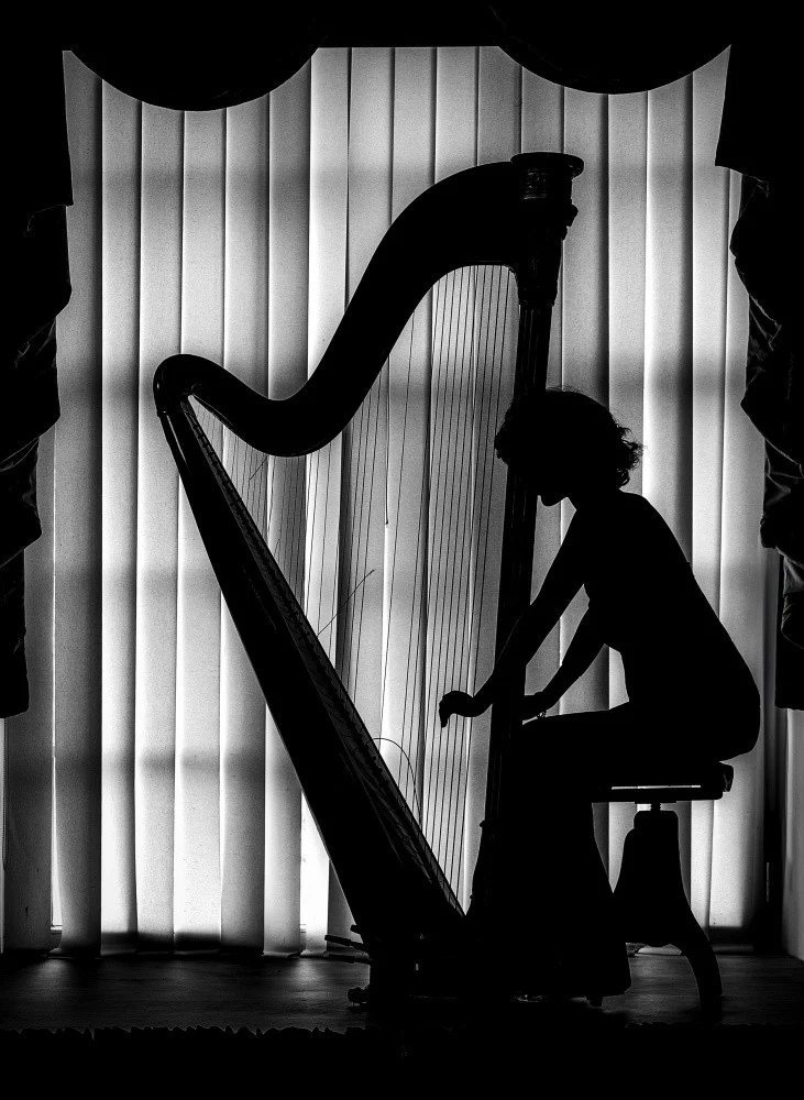 harp