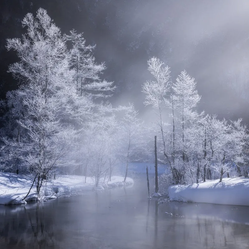 Glisten in white