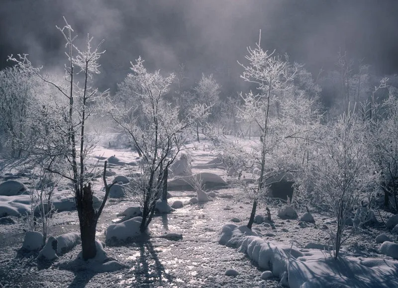 Frozen marshland