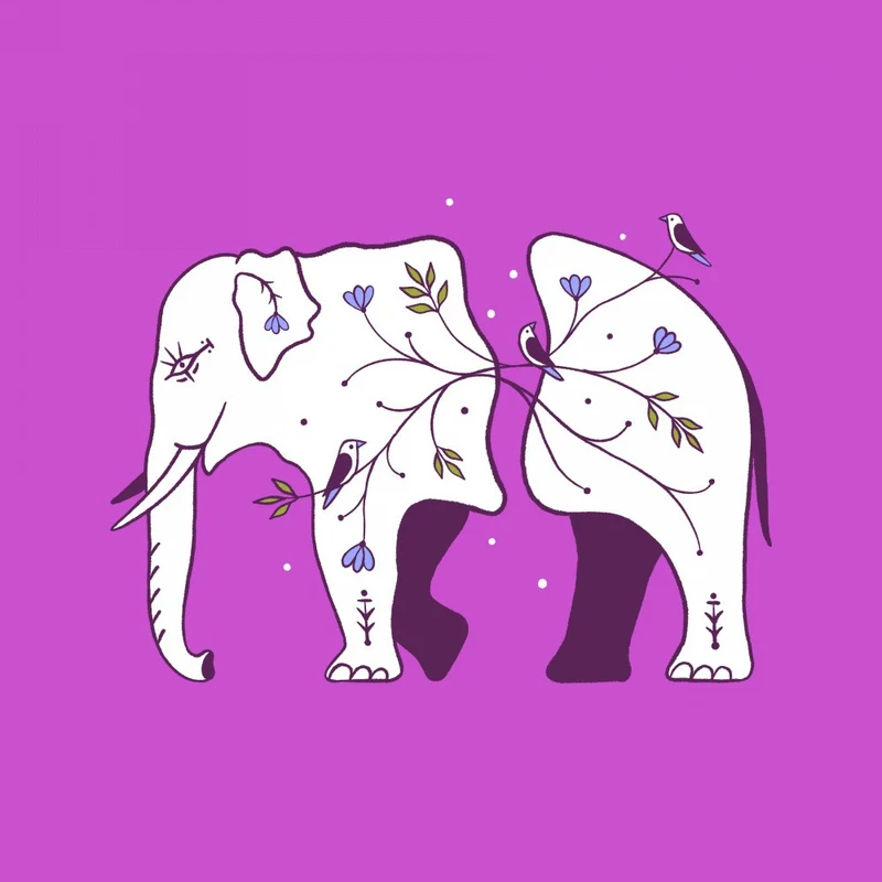 Connecting Wildlife Elephant