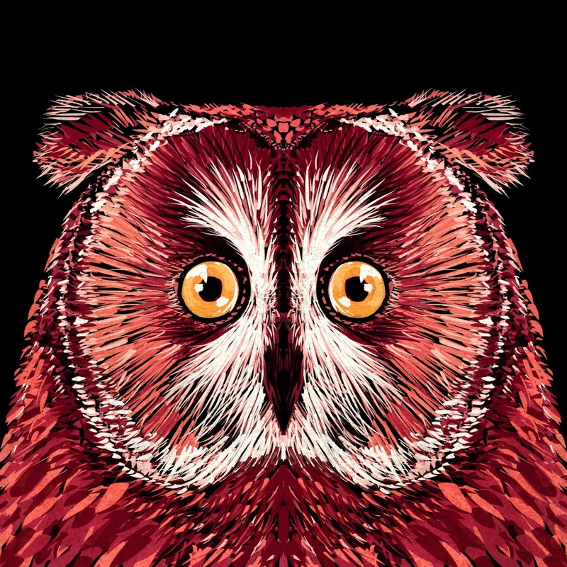 Bird Series Owl 4