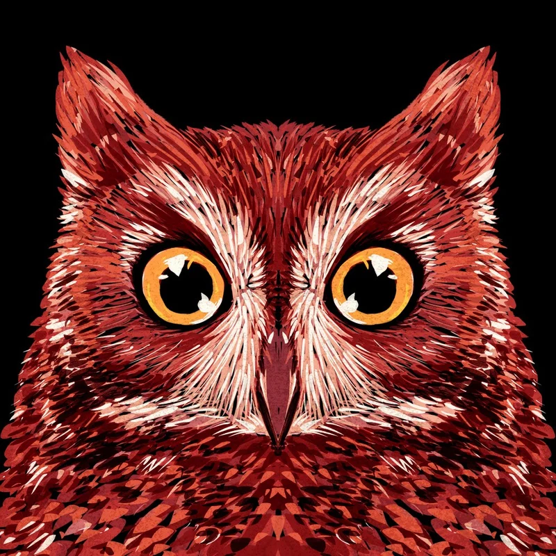 Bird Series Owl 3